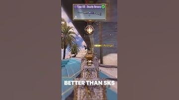 Type 63 better than SKS ?