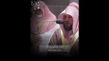 ﴿فَاستَغفَروا لِذُنوبِهِم ومَن يَغفِرُ الذُّنوبَ إلَّا اللَّه﴾ سورة آل عمران للشيخ ماهر المعيقلي 🤍.