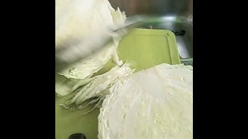 Cutting ✂️ Cabbage 🥬 ASMR 🌈 #shorts #youtubeshorts #asmr #satisfying #cutting #shortsfeed