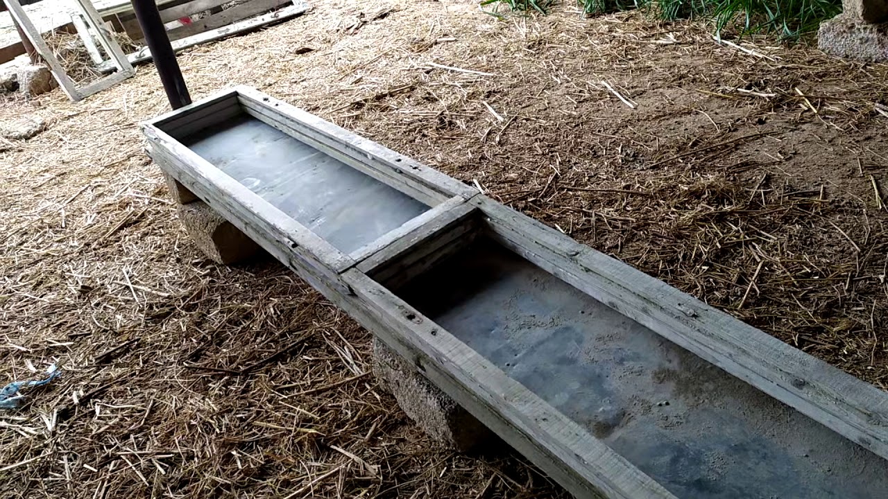 Bordağ quzular üçün tövlə