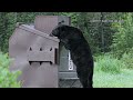 Idaho Fish and Game urges black bear safety after Treasure Valley sightings
