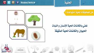 الخلية   الصف الرابع الابتدائي   الفصل الدراسي الأول