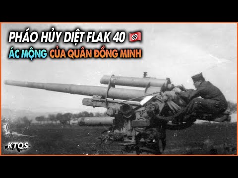 Video: Ba Lan và Cộng hòa Séc đã đề xuất các phương án hiện đại hóa hệ thống phòng không 