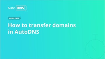 AutoDNS Quick Guide: Transfer domains