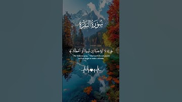 ماتيسر من سورة البقرة .. #quran#قرآن #راحة_نفسية #trending #foryou #fypシ