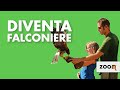 Zoom Torino - Diventa falconiere