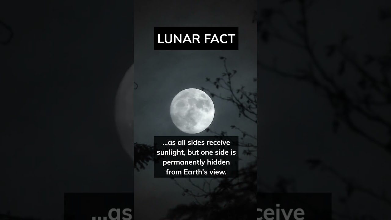 The moon is an incredible place… 