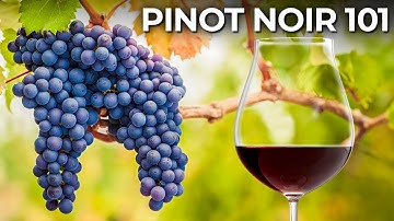 Understanding the Basics: A Beginner