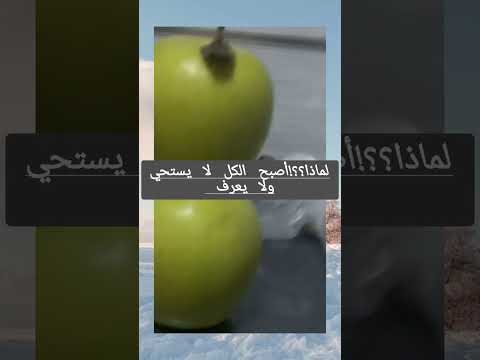 من بلاد شنقيط