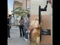 البنتين يفعلون شي غير متوقع