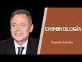 ¿Qué relación hay entre la psicología y la criminología? - Entrevista con Vicente Garrido