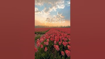 سورة القيامه💕|| قرآن كريم🤍|| بصوت القارئ الشيخ عبدالرحمن السديس || #قرآن #الحمدلله والشكر لله🤍📿