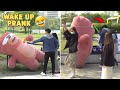 Funny Wake Up Pranks | They have no Idea the Giant Bear will move.