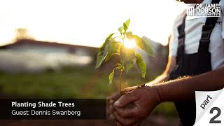 Planting Shade Trees - Part 2 with Guest Dennis Swanberg