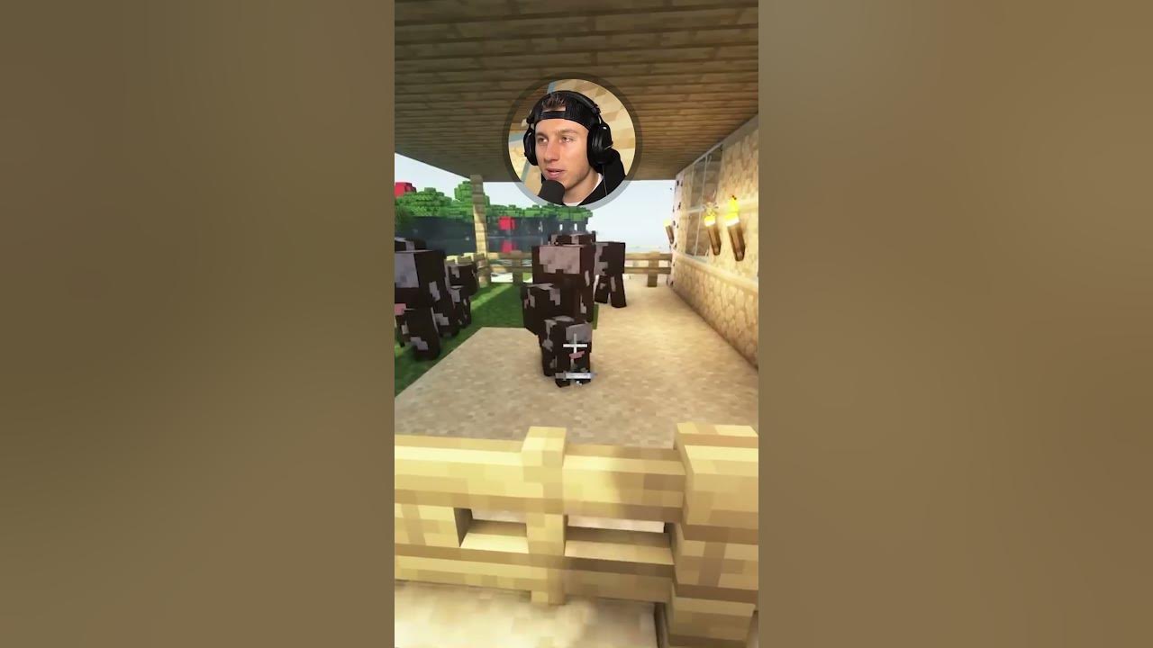 iCrimax ERSTES HAUS in MINECRAFT! 😲 - YouTube