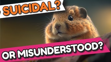 Lemmings: The Truth Behind the Suicide Rumors