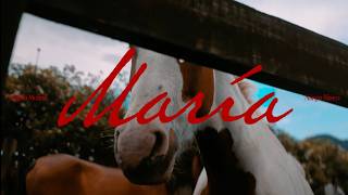 Régulo Molina y Nanpa Básico - María (Video Oficial)