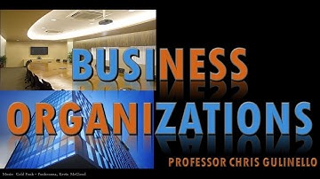 Business Organizations (5C-200): LLC Voting and Authority - Details