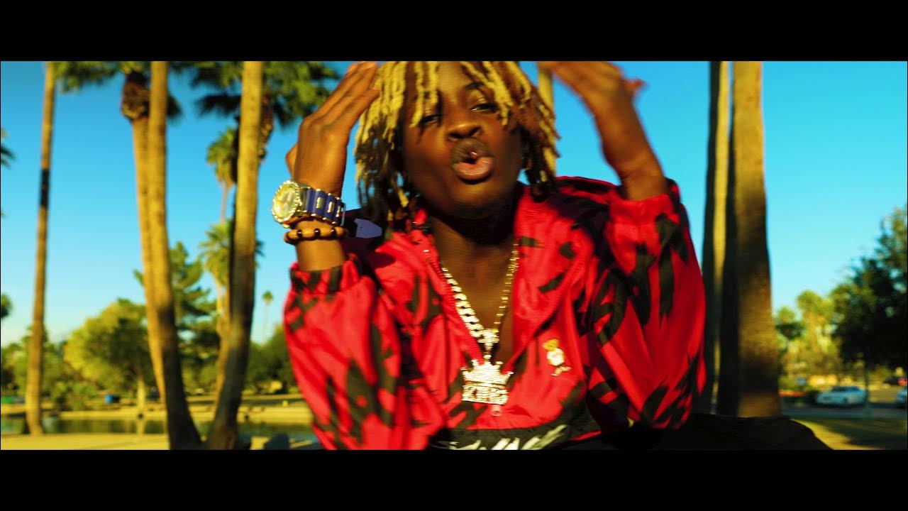 Mushuk ichidagi sikning videosi