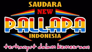 #Terhanyutdalamkemesraan#karaoke NEW PALLAPA Terhanyut dalam Kemesraan(no vocall)