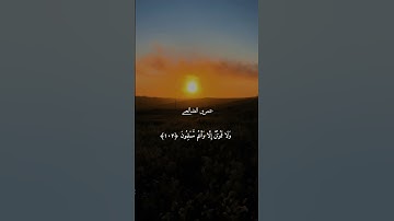 عمرو الضالعي قارئ يمني وصوت جميل جداً #قرآن #اكسبلور
