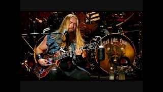 Video thumbnail of "Won't Find It Here-Black Label Society (Unblackened)"