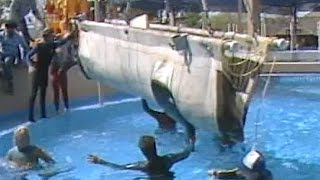 Seasonal return of Shamu to Sea World in Aurora, Ohio 1985 and 1989