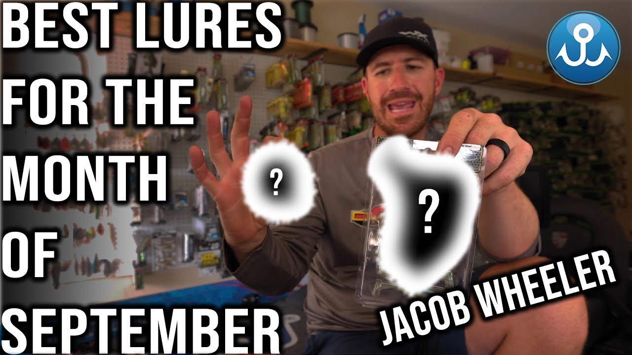 Best Bass Fishing Lures for September YouTube