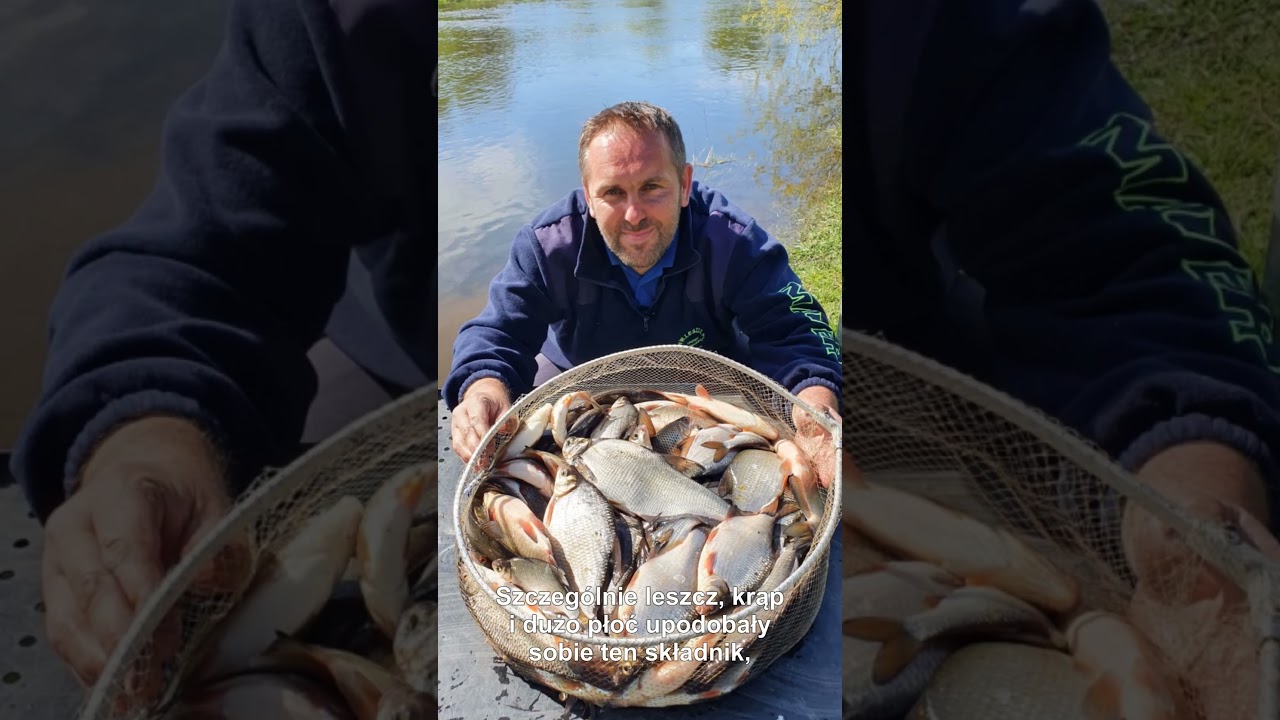 Sensas Amorce Coprah Mélasse 1 Kg – Appât Puissant Pour La Pêche à La Carpe Et Au Gros Poisson