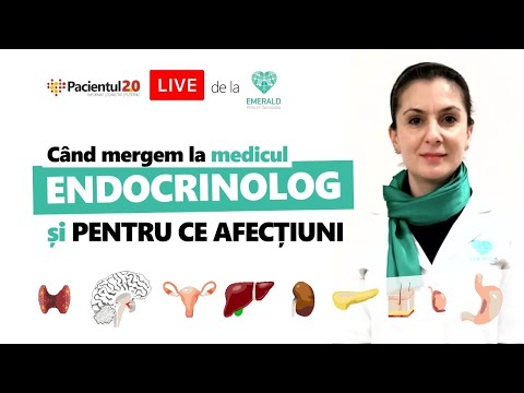 Endocrinologia Explicată