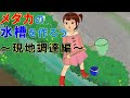 メダカ水槽立ち上げ～現地で砂、水草、ヌマエビ、タニシなどを捕って、その場でメダカ用の水槽を作る【メダカ日記No.15】