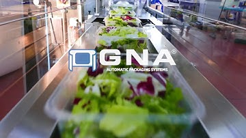 GNA - Horizontal flow pack machine mod. CHIMERA