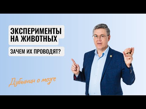 Дубынин о мозге: эксперименты на животных