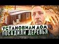 Строим дом, сажаем деревья.