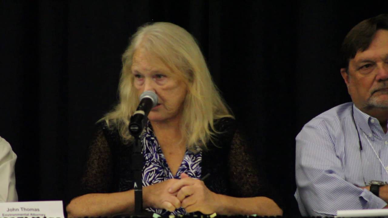 Linda Young Presentation YouTube