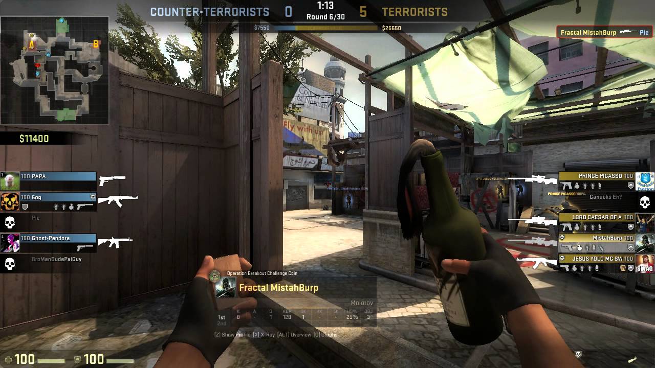 CS:GO Bazaar PP-Bizon Highlights [1]