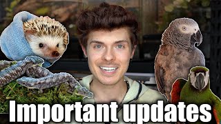 Important updates about my animals