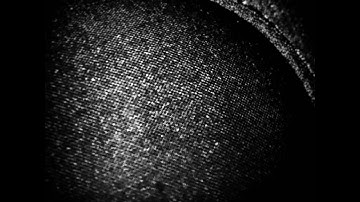 Mantis Shrimp - Buzz Fuzz (Demo)