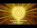 Nykkyo Energy DJ - Golden Liquid Light Meditation 432hz