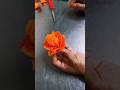 Creative Carrot Flower Design SkillsBeautiful Carrot Flower Shape Decoration#Kitchen Skills#