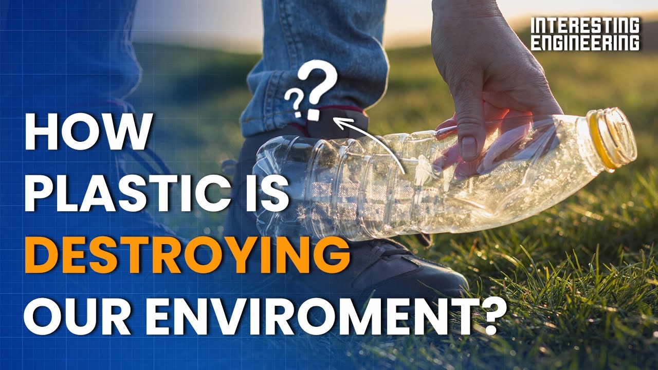 How Plastic Is Destroying Our Environment And What To Do About It