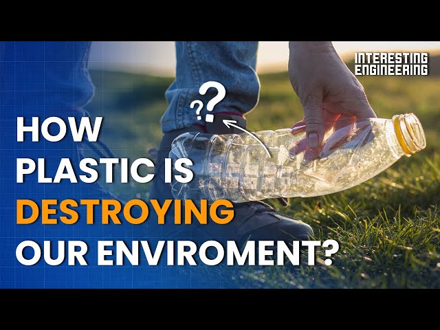 Plastic Is Destroying Our Environment - Solutions