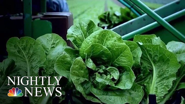 Antiquated System Hampers FDA In Tracking Deadly E. Coli Outbreaks | NBC Nightly News