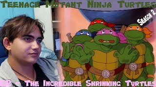 Vintage 1990 Teenage Mutant Ninja Turtles the Incredible Shrinking