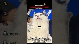 Best Cats Being Drama Queens