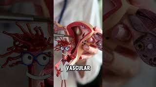 Download Lagu THIS IS ASTONISHING  #angiogenesis #science #cellularnutrition #drwilliamli #nutritionassistance MP3