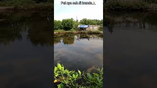 Ketapel Ikan  Coba Dengarkan Suara Senar Di Tarik Ikan Bandeng Besar