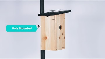 Installation & Cleaning - Birdfy Nest Ebony Tutorial