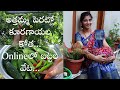 Vegetable Harvesting At In Laws Home & A Small Shopping Haul In Telugu | Manalo Mana Maata