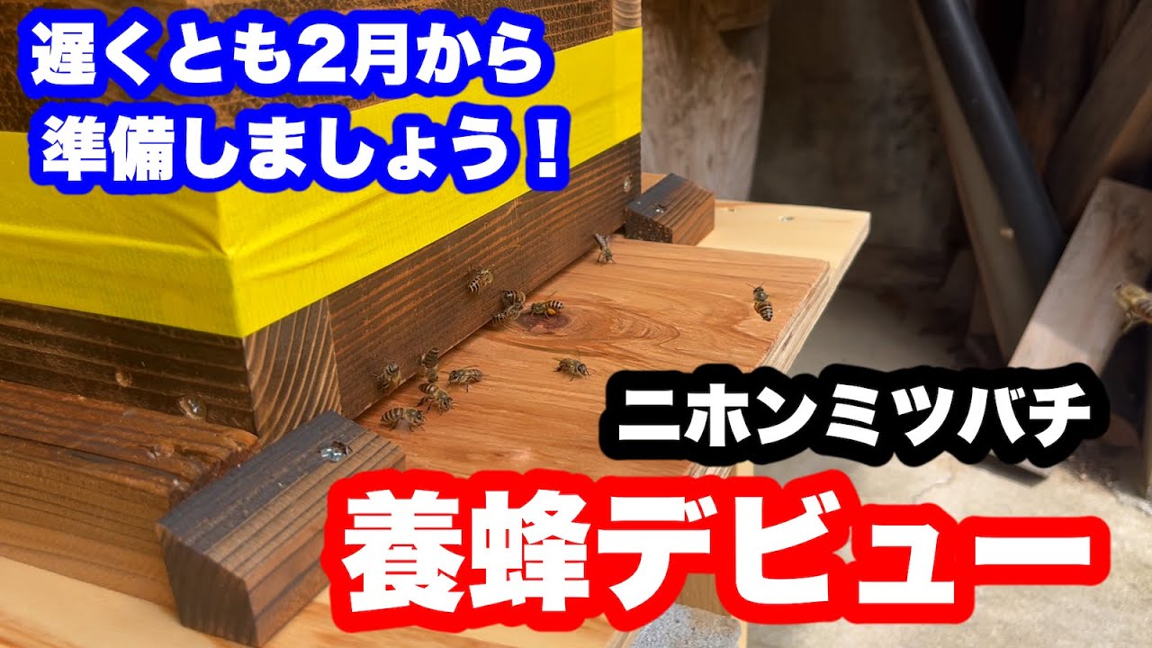 ニホンミツバチ養蜂デビューまでの4ヶ月間ドキュメンタリー